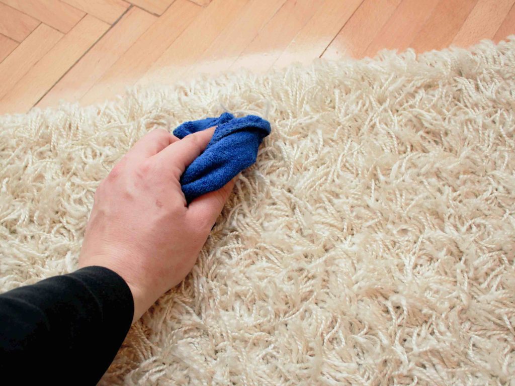 blotting-rug-stains-orange-county-rug-cleaners
